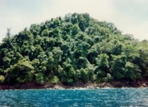 Des chercheurs français à la découverte du "Monde perdu" de Papouasie Des chercheurs français à la découverte du "Monde perdu" de Papouasie