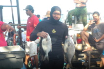 Championnat de Polynésie française de pêche sous marine en individuel 2013 et sélectives pour le mondial 2014 Championnat de Polynésie française de pêche sous marine en individuel 2013 et sélectives pour le mondial 2014