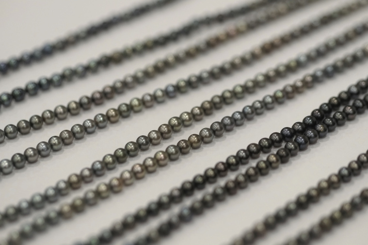 Il y a 60 ans, la greffe prenait Il y a 60 ans, la greffe prenait