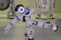 Chiens-robots, droïdes danseurs et automates bavards s'installent à Madrid Chiens-robots, droïdes danseurs et automates bavards s'installent à Madrid