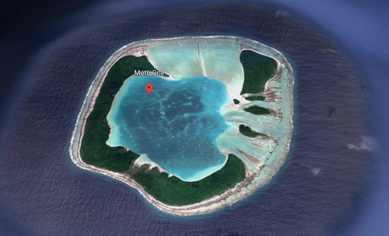 Trafic de tortues démantelé à motu One Trafic de tortues démantelé à motu One