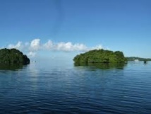 Le Pacifique au chevet de son environnement Le Pacifique au chevet de son environnement