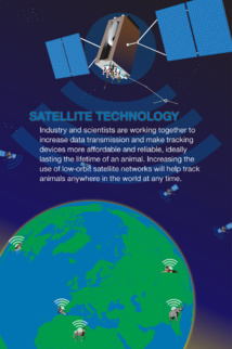 USA: des biologistes s'associent au secteur aérien pour pister les animaux USA: des biologistes s'associent au secteur aérien pour pister les animaux