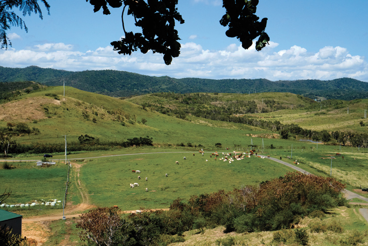 Theo Rouby / AFP Theo Rouby / AFP