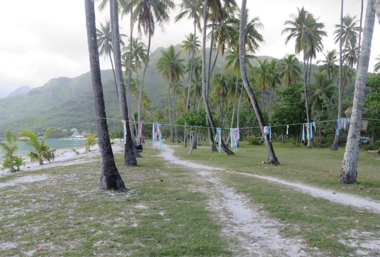 À Temae, les riverains continuent le combat À Temae, les riverains continuent le combat