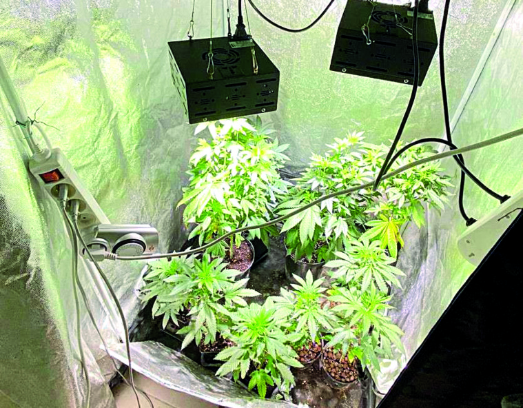 Un trafic d'herbe “online” stoppé par les gendarmes