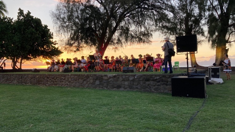 Dans les jardins du Musée de Tahiti et des îles. Dans les jardins du Musée de Tahiti et des îles.