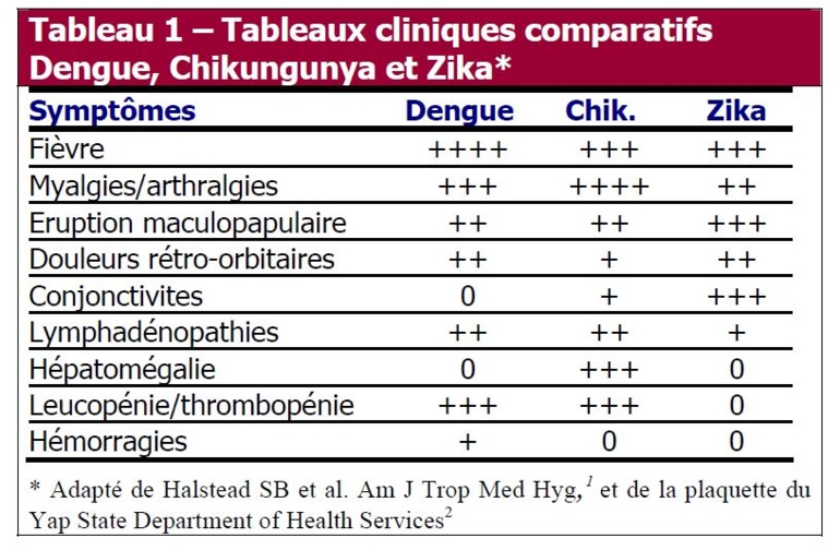 Identifier les signes cliniques de la dengue, du zika ou du chikungunya peut s'avérer compliqué en raison des similitudes des symptômes (Document INVS). Identifier les signes cliniques de la dengue, du zika ou du chikungunya peut s'avérer compliqué en raison des similitudes des symptômes (Document INVS).