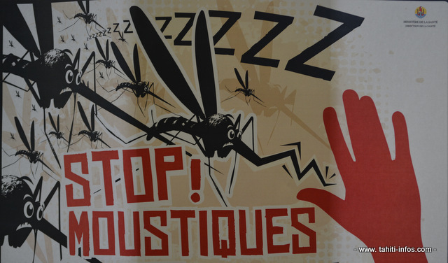 La grande chasse aux moustiques est ouverte en Polynésie