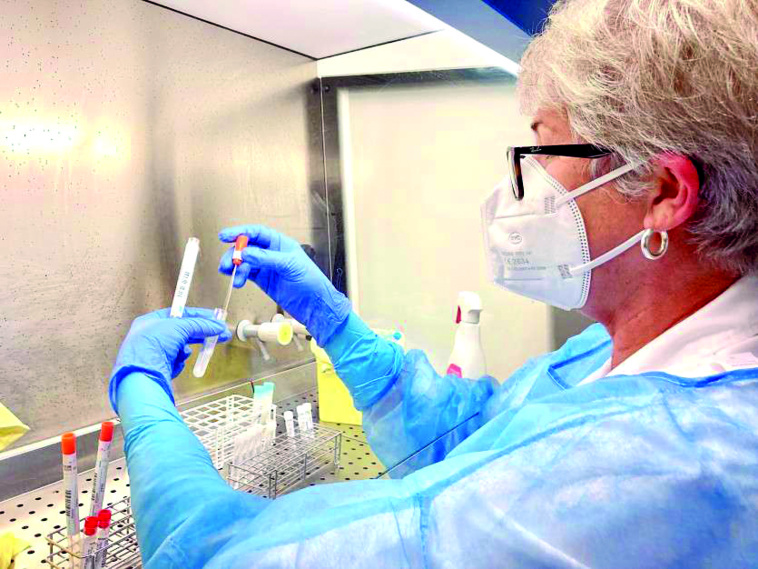 Nouvelle-Calédonie : Au moins sept nouveaux cas “probables” Nouvelle-Calédonie : Au moins sept nouveaux cas “probables”