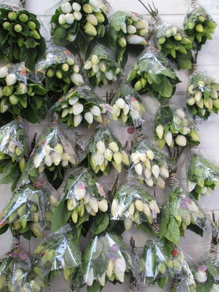 Chaque année, la famille Taumihau récolte entre 30 et 50 000 fleurs de tiare taina.
