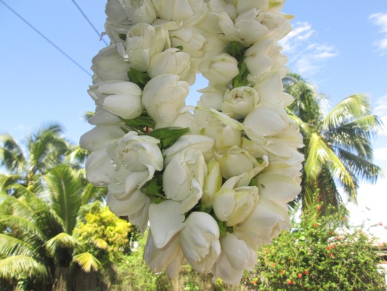 Activité familiale à To’ahotu : Taiana et ses Taina Activité familiale à To’ahotu : Taiana et ses Taina