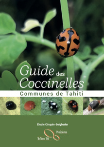 Un guide pour mieux connaître les coccinelles de Tahiti Un guide pour mieux connaître les coccinelles de Tahiti