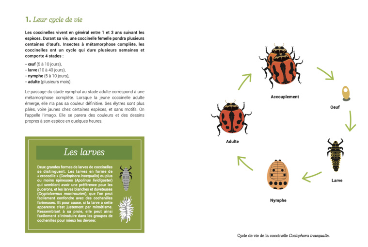 Extrait du guide. Extrait du guide.