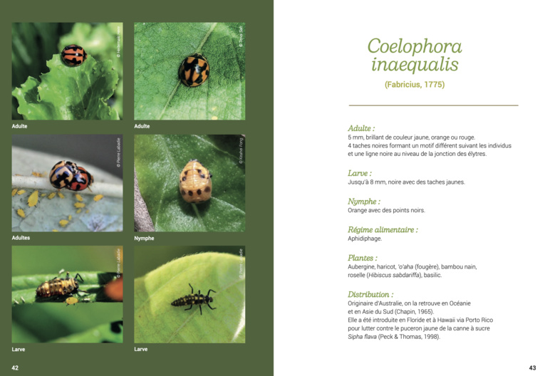 Extrait du guide. Extrait du guide.