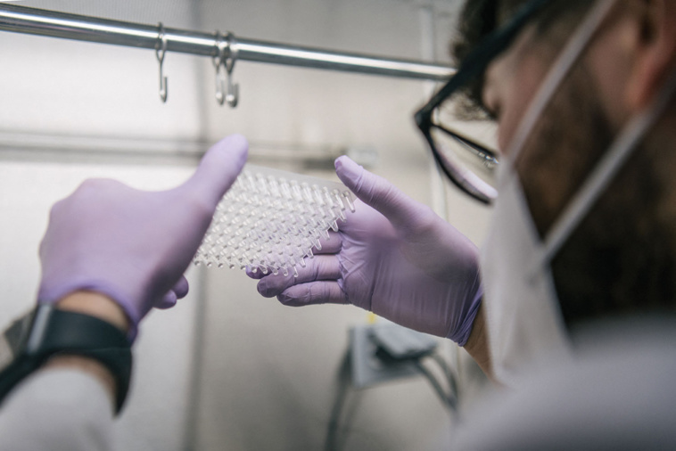 Brandon Bell / GETTY IMAGES NORTH AMERICA / Getty Images via AFP Brandon Bell / GETTY IMAGES NORTH AMERICA / Getty Images via AFP