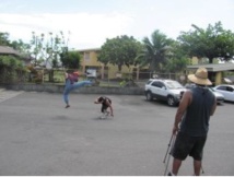 Soirée des lauréats de la seconde édition du Vini Film Festival On TNTV Soirée des lauréats de la seconde édition du Vini Film Festival On TNTV