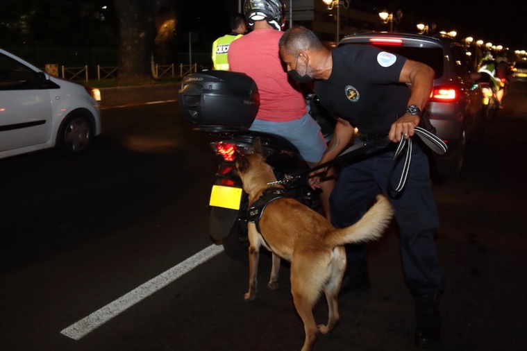Réveillon agité pour les forces de l'ordre Réveillon agité pour les forces de l'ordre
