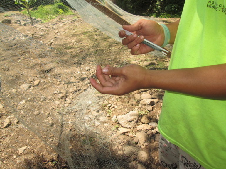 Ramendage de filets à la Presqu’île : Yohann, un jeune apprenti sérieux