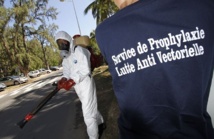 Epidémie de Zika La lutte anti-vectorielle se prépare Epidémie de Zika La lutte anti-vectorielle se prépare