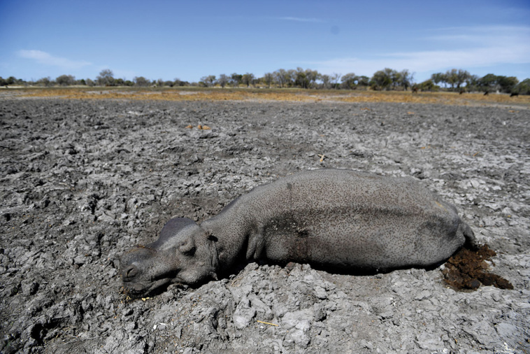 MONIRUL BHUIYAN / AFP