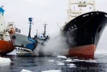 Départ des navires de Sea Shepherd à la poursuite des baleiniers japonais Départ des navires de Sea Shepherd à la poursuite des baleiniers japonais