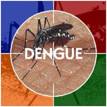 Alerte à la dengue à Fidji Alerte à la dengue à Fidji