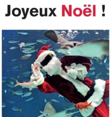 Joyeux Noel! Joyeux Noel!