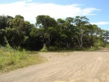 Bora-Bora: Une camionnette ne peut éviter un vélo, décès d'un enfant de onze ans (MAJ)