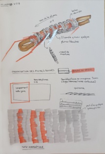 Orama Nigou, dans l'intimité du maro 'ura Orama Nigou, dans l'intimité du maro 'ura