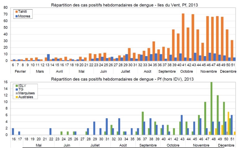 Dengue et Zika: l'épidémie continue de progresser Dengue et Zika: l'épidémie continue de progresser