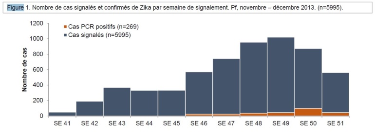 Dengue et Zika: l'épidémie continue de progresser