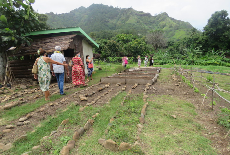 Les représentants de Punaauia ont découvert les potagers de l'école bioclimatique de Papetoai. Les représentants de Punaauia ont découvert les potagers de l'école bioclimatique de Papetoai.