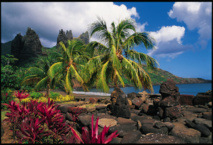 Crédit photo : Thierry Zysman. Crédit photo : Thierry Zysman.