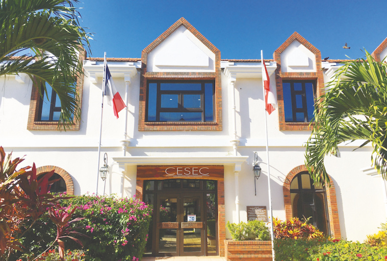 Le Cesec a rendu mardi son avis sur un projet de loi modifiant sa propre organisation. Le Cesec a rendu mardi son avis sur un projet de loi modifiant sa propre organisation.