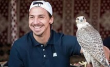 Robin des Bois regrette que le PSG fasse la promotion de la fauconnerie Robin des Bois regrette que le PSG fasse la promotion de la fauconnerie