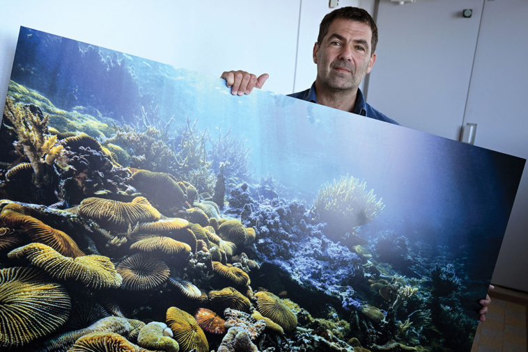 Nicolas TUCAT / AFP Nicolas TUCAT / AFP