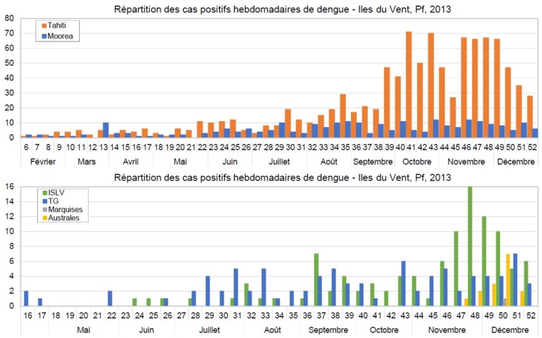Dengue et Zika: le point sur l'épidémie Dengue et Zika: le point sur l'épidémie