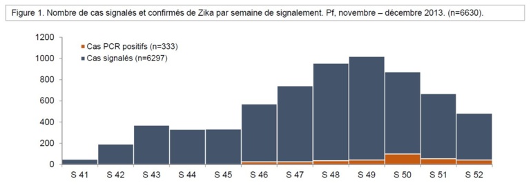 Dengue et Zika: le point sur l'épidémie Dengue et Zika: le point sur l'épidémie