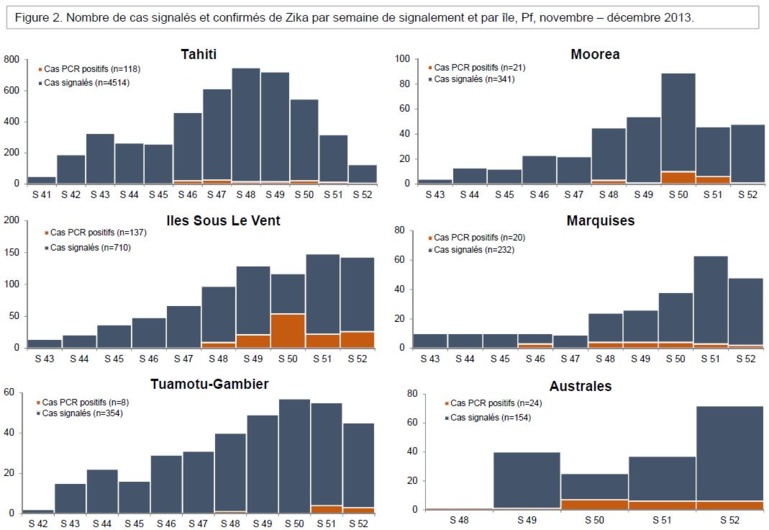 Dengue et Zika: le point sur l'épidémie Dengue et Zika: le point sur l'épidémie