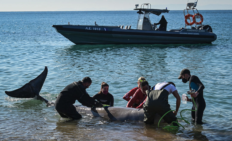 ARIS MESSINIS / AFP ARIS MESSINIS / AFP