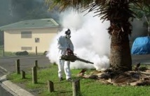 Les campagnes d’épandages réguliers d’insecticides se poursuivent dans les zones cibles, Les campagnes d’épandages réguliers d’insecticides se poursuivent dans les zones cibles,