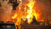 Feu de brousse dans l'ouest de l'Australie: un mort, des dizaines de maisons détruites Feu de brousse dans l'ouest de l'Australie: un mort, des dizaines de maisons détruites