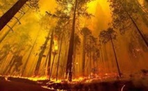 L'Australie en proie à la canicule attend des incendies virulents
