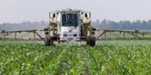 USA: la Cour suprême se range une nouvelle fois du côté de Monsanto