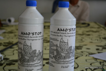 Amostop est un larvicide qui permet de tuer les larves de moustiques dans tous les sites remplis d'eau stagnante qui ne peuvent pas être vidés à la main. Les fosses septiques notamment, quand elles ne sont pas étanches, sont d'énormes réservoirs pour que les moustiques femelles déposent leurs oeufs. Amostop est un larvicide qui permet de tuer les larves de moustiques dans tous les sites remplis d'eau stagnante qui ne peuvent pas être vidés à la main. Les fosses septiques notamment, quand elles ne sont pas étanches, sont d'énormes réservoirs pour que les moustiques femelles déposent leurs oeufs.