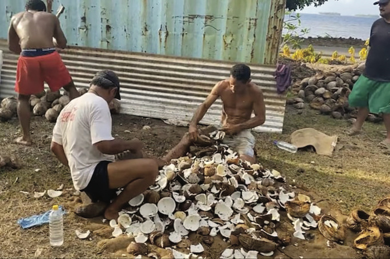 Augmentation du prix du coprah Augmentation du prix du coprah