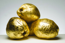 ‘Ōrama Studio publie sa "bombe visuelle" ‘Ōrama Studio publie sa "bombe visuelle"