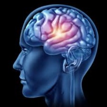 L'Académie de médecine lance un appel au don de cerveau post mortem L'Académie de médecine lance un appel au don de cerveau post mortem