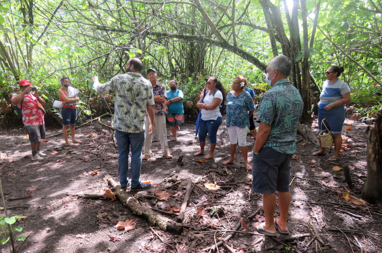 Moorea : un tour de l'île pour valoriser les zones humides Moorea : un tour de l'île pour valoriser les zones humides